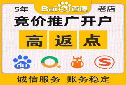 SEO技术突破：某网站流量暴增的背后故事